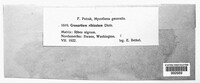 Image Associated With the Occurence